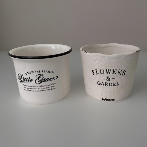 Flower pots for succulent - pots,